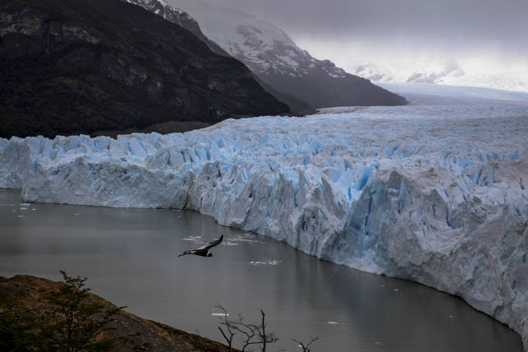 Perito Moreno é império de geleiras e picos de neve na Patagônia argentina