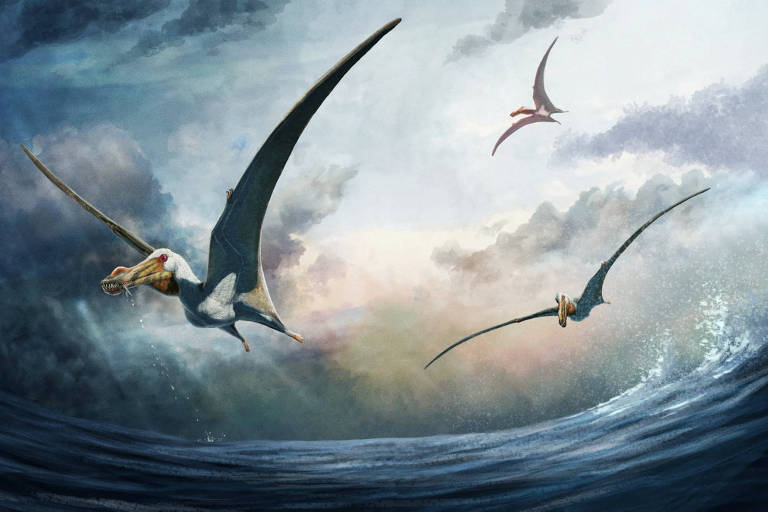 Imagem de três pterossauros voando sob mar e céu nublado.