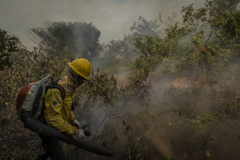 Um brigadista em ação, vestindo um uniforme amarelo e capacete, luta contra um incêndio florestal. Ele está usando uma mangueira para apagar as chamas, que consomem a vegetação rasteira. A fumaça densa e cinza obscurece parcialmente a cena, cria uma atmosfera de urgência e perigo.