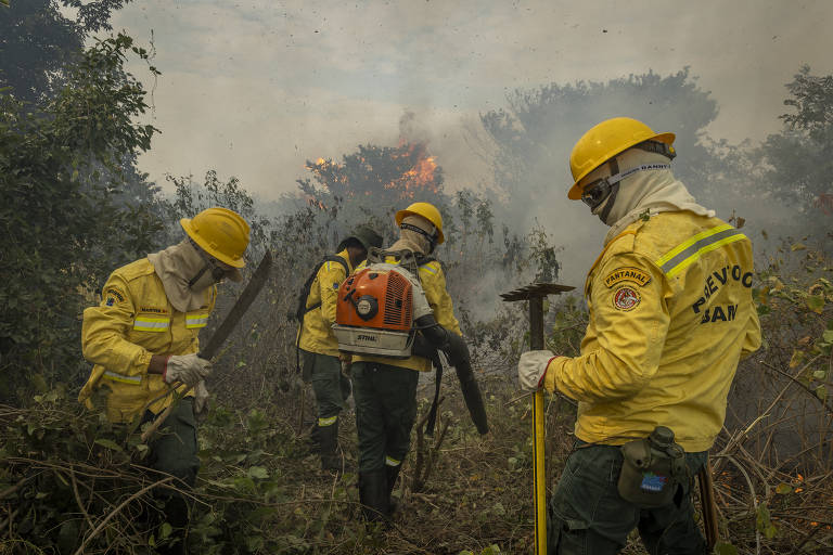 Brigadistas atuam em área crítica de queimadas no pantanal, em Corumbá (MS)