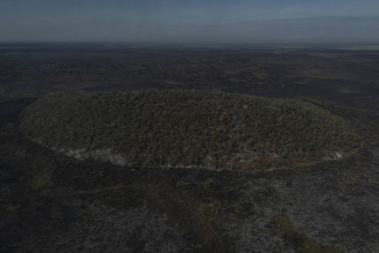 foto aérea mostra vegetação que forma área oval formada por linha de fumaça e fogo. ao redor, área queimada