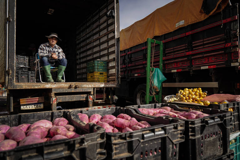 Produtor rural vende hortifrúti em central de abastecimento no município de Gravataí (RS)