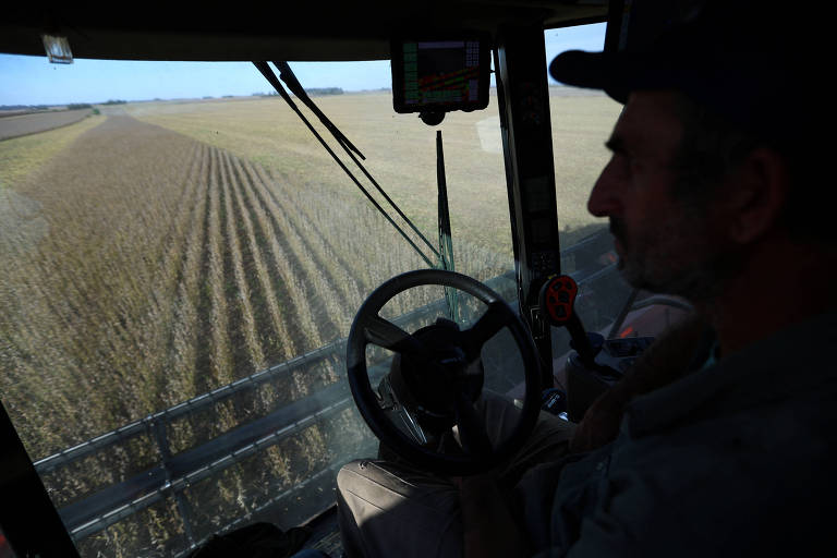 Um agricultor conduz máquina em campo de soja no interior da Argentina, em um dia de céu limpo e ensolarado
