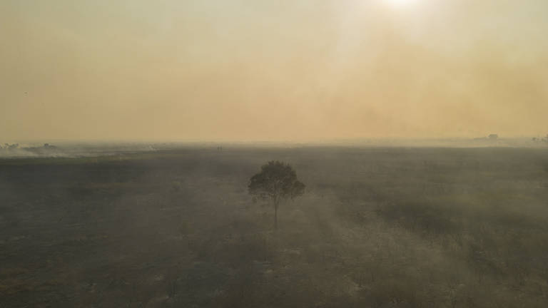 Chegada até a fazenda Santa Fé, no leste de Corumbá (MS), foi dificuldade por ponte que queimou; equipe precisou fazer caminho mais longo até o local