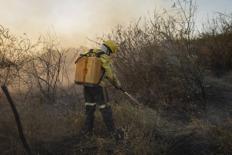 Além de a vegetação estar extremamente seca, o vento muda de direção constantemente, espalhando focos em áreas não previstas