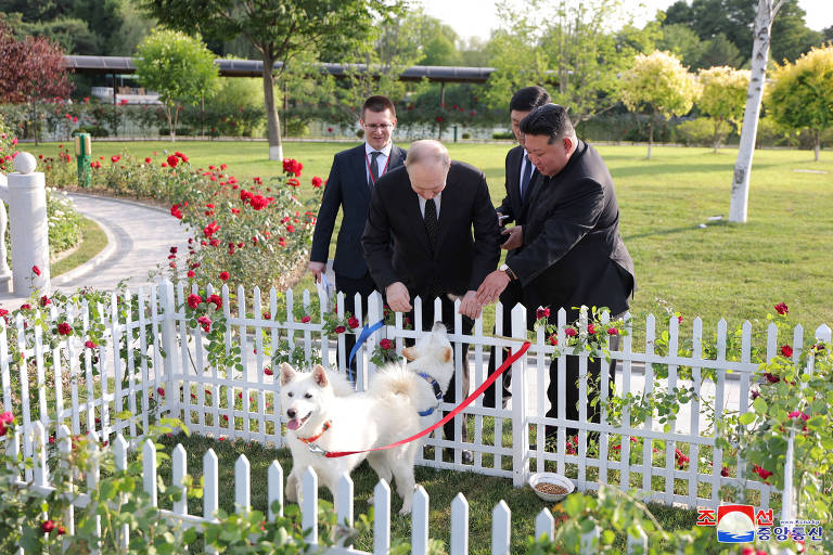 Kim Jong-un presenteia Putin com par de cães; veja fotos