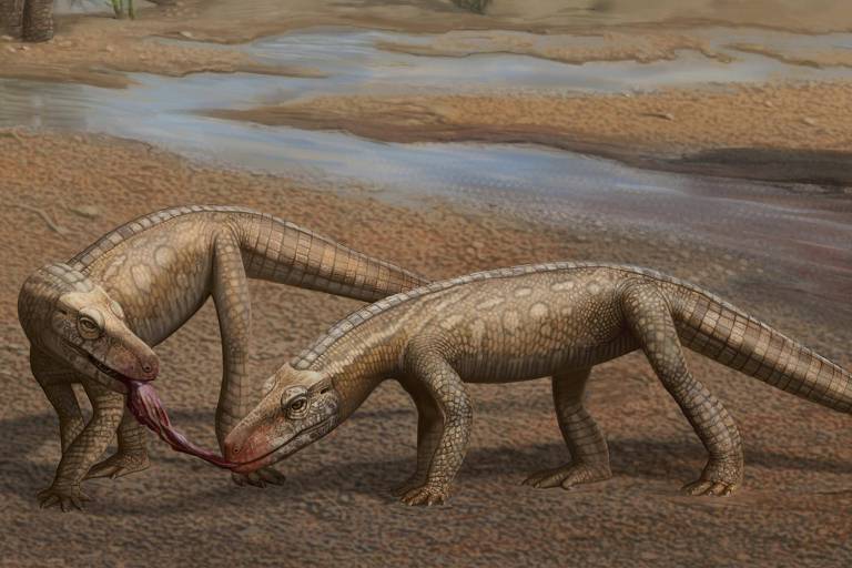 Fósseis encontrados no RS revelam espécie de minicrocodilo de 237 milhões de anos