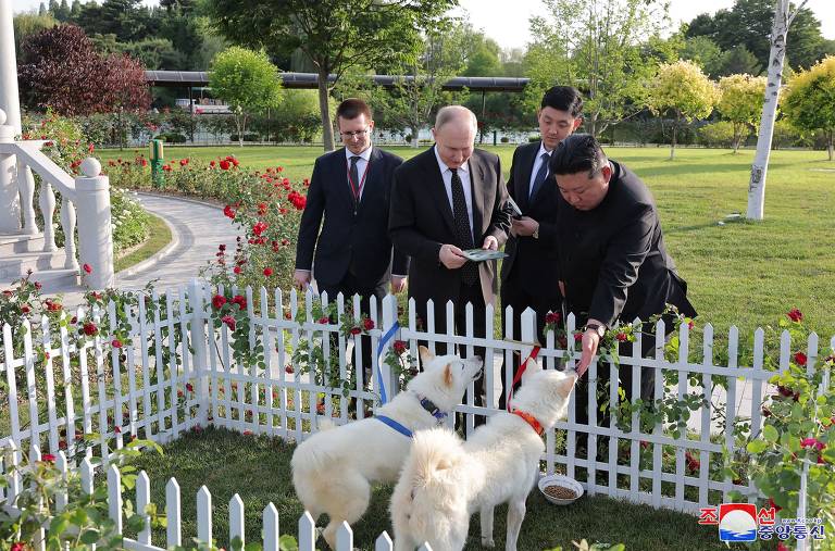 Kim Jong-un presenteia Vladimir Putin com um par de cães, no jardim da Kumsusan State Guesthouse, em Pyongyang