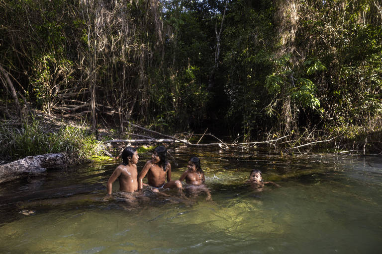 A imagem mostra quatro crianças nadando em um rio cercado por uma densa vegetação de floresta. Três das crianças estão sentadas em um tronco submerso, enquanto a quarta criança está nadando mais à frente. A água é clara e a vegetação ao redor é exuberante, com muitas árvores e plantas.