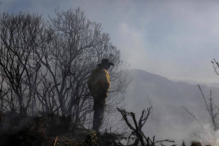 Bombeiros e brigadistas atuam no combate ao incêndio no Parque Nacional do Itatiaia (RJ)
