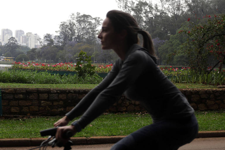 Fui de bike ao Ibirapuera, quando voltei a bicicleta já era
