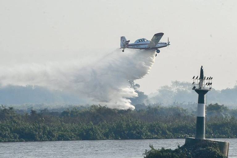 avião sobrevoa área de vegetação com fumaça e lança água. em primeiro plano, à direita, um farol com vários pássaros pousados sobre a grade ao redor do topo