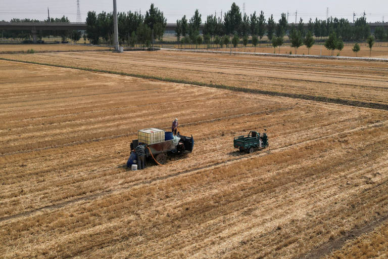 Do Mar Negro ao Meio-Oeste dos EUA, clima extremo ameaça a produção agrícola