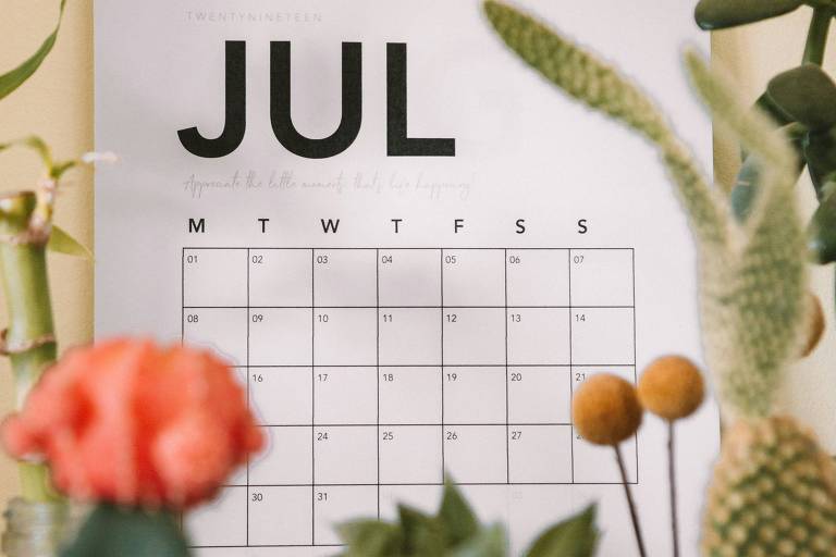 A imagem mostra um calendário de parede para o mês de julho de 2019, preso por dois prendedores de madeira. O calendário tem os dias da semana abreviados em inglês (M, T, W, T, F, S, S) e está cercado por várias plantas, incluindo um cacto e uma flor laranja em destaque.