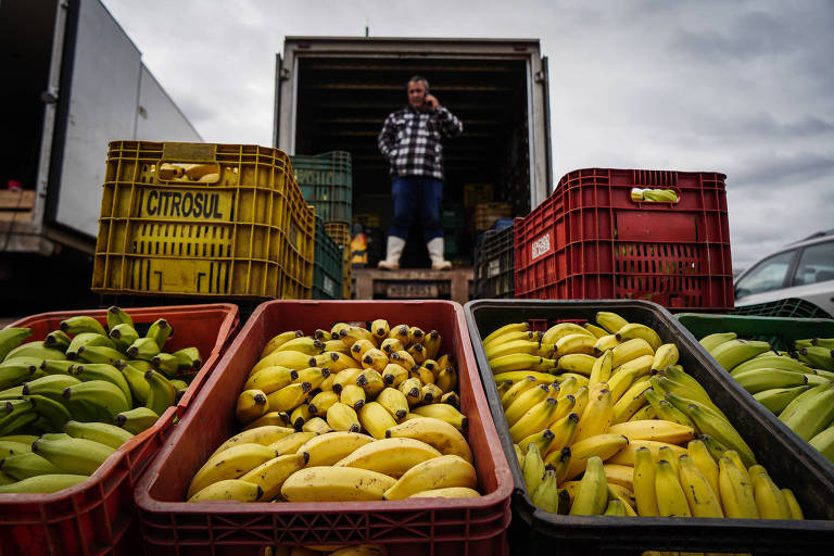 Frutas e verduras são vendidas em central de abastecimento na Grande Porto Alegre; enchentes no RS afetam inflação dos alimentos