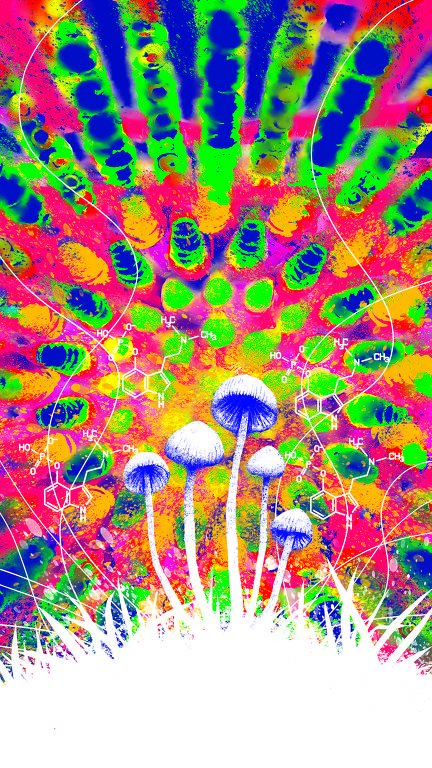 Ilustração de Adams Carvalho com cogumelos, em cores rosa, azul, branco, verde e vermelho, para matéria da Ilustríssima sobre terapia psicodélica