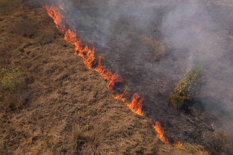 Vista aérea de incêndio florestal mostra vegetação seca de um lado, para onde está avançando uma linha de fogo que já queimou a vegetação do outro lado