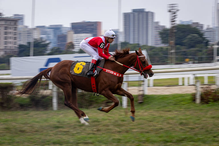 Cavalo se aproxima da linha de chegada em alta velocidade durante corrida no Jockey Club