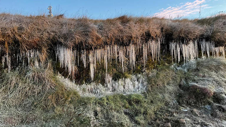 A imagem mostra uma formação natural de gelo pendurado em uma vegetação rasteira. O gelo se formou em longas estalactites que pendem da vegetação, que parece ser grama seca. A base da vegetação está coberta por uma camada de gelo e neve, e o céu ao fundo está claro com algumas nuvens