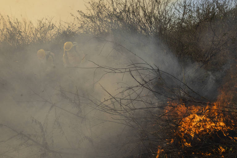 Corrida atrás de incêndios e cheiro forte da fumaça marcaram a cobertura da Folha no pantanal
