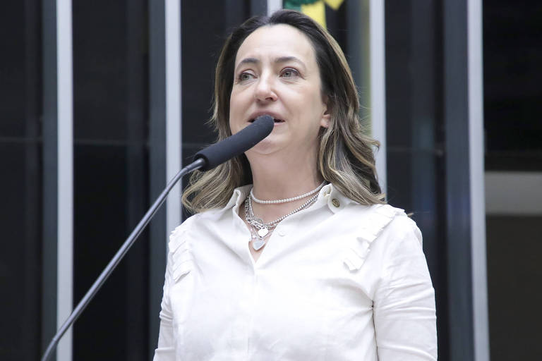 Rosangela Moro avalia deixar de representar SP e se candidatar pelo Paraná em 2026