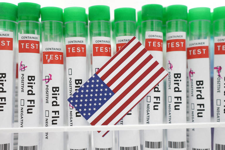 Tubos de testes enfileirados com a escrita "bird flu", gripe aviária em inglês, e uma bandeira dos Estados Unidos à frente