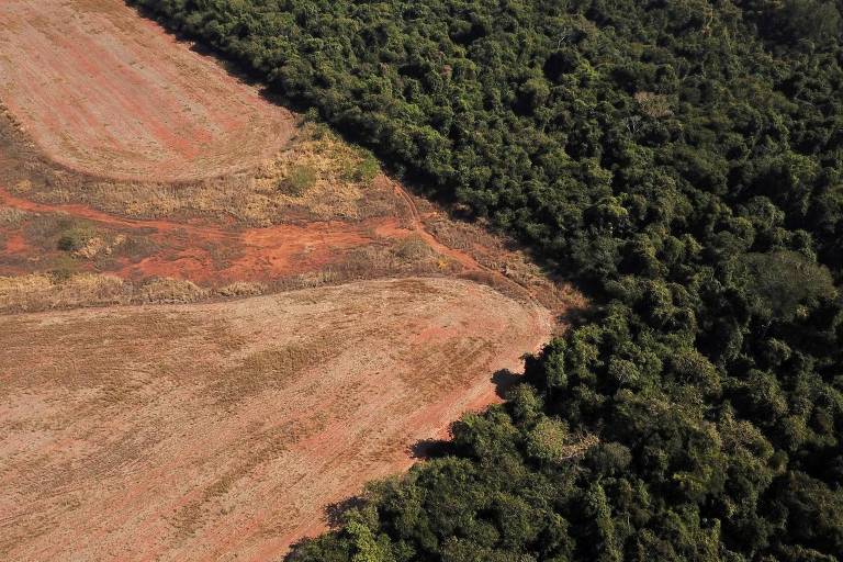 Vista aérea mostra desmatamento em área florestal 