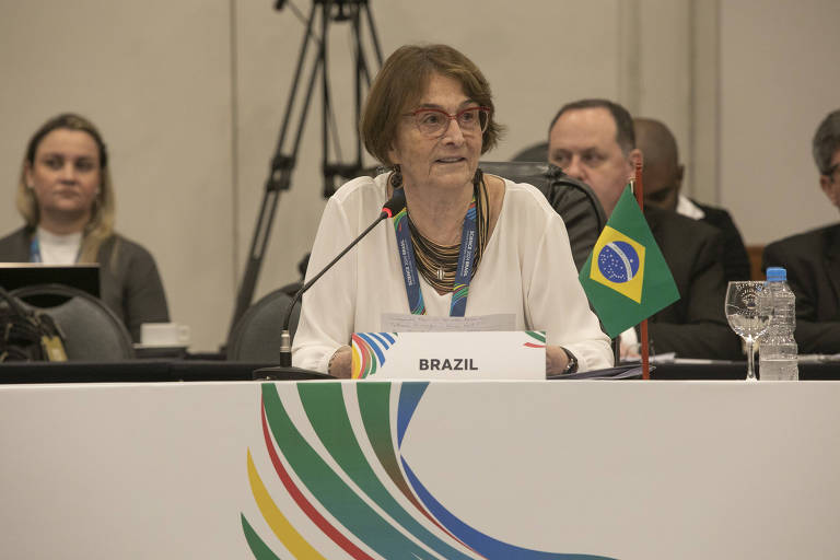 Uma mulher está sentada em uma mesa de conferência com um microfone à sua frente. Ela usa óculos vermelhos e uma blusa branca, e está segurando um papel. Na mesa, há uma placa com a palavra 'BRAZIL' e uma pequena bandeira do Brasil.