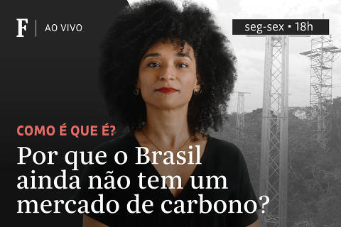 Por que o Brasil ainda não tem um mercado de carbono?