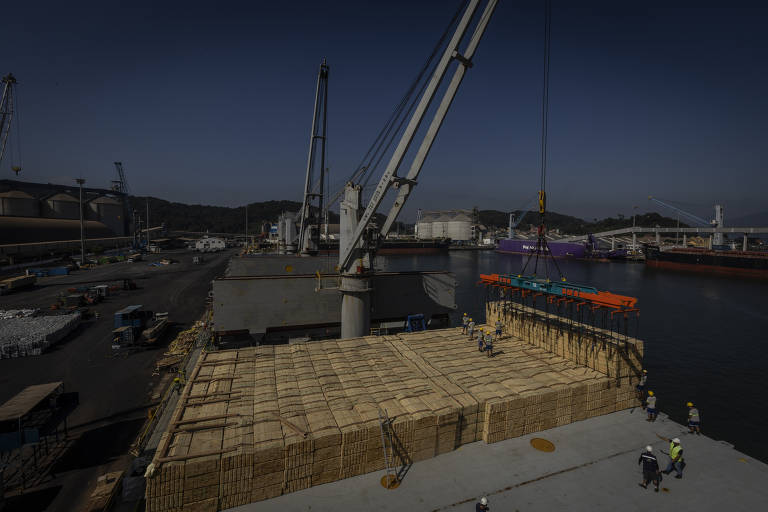 Navio é carregado no Porto de São Francisco do Sul, em Santa Catarina