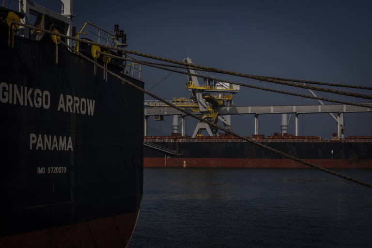 Principais produtos que passam pelo porto são soja, milho, ferro e aço