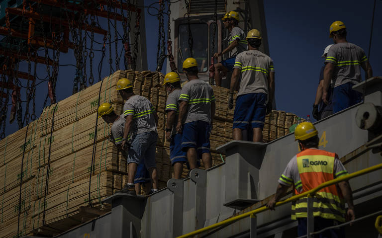 Carga de madeira é colocada em navio atracado no porto de São Francisco do Sul