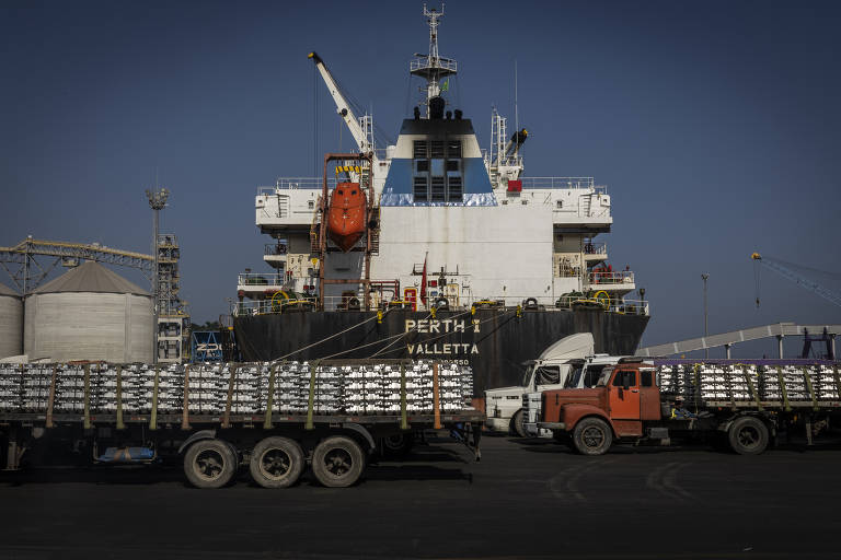 Movimentação de veículos com cargas que serão embarcadas em navios