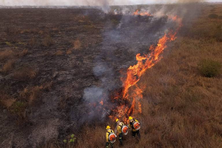 Vista aérea de bombeiros trabalhando para conter o avanço de incêndio em campo no pantanal