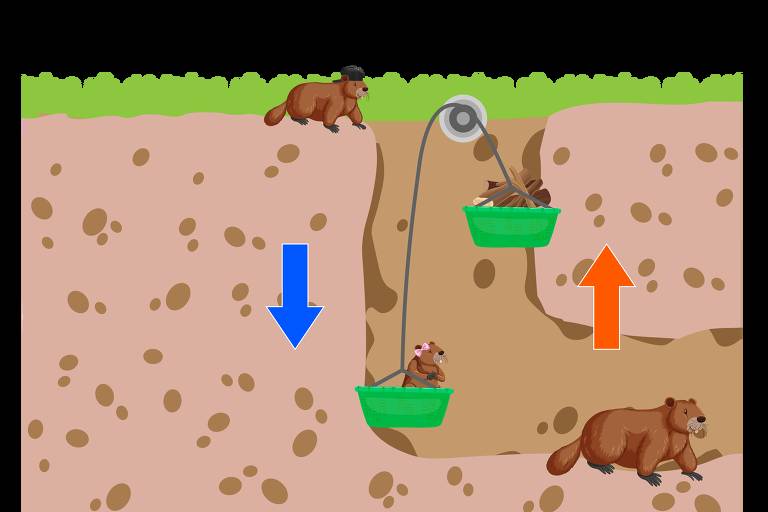 A imagem mostra uma seção transversal de um túnel subterrâneo com castores. No topo, um castor está de pé na superfície. No meio, há um sistema de polias com uma cesta verde cheia de madeira sendo levantada, indicada por uma seta laranja apontando para cima. Abaixo, uma cesta verde com um castor dentro está sendo baixada, indicada por uma seta azul apontando para baixo. Outro castor está no fundo do túnel. O número '7.' está no canto superior esquerdo da imagem.