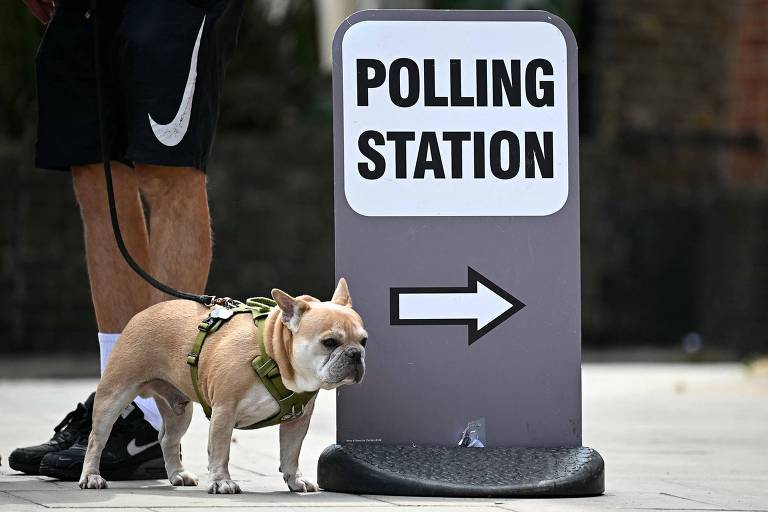 Cachorro em coleira, junto àss pernas do dono, ao lado de um sinal indicando "seção eleitoral" em inglês, com uma seta