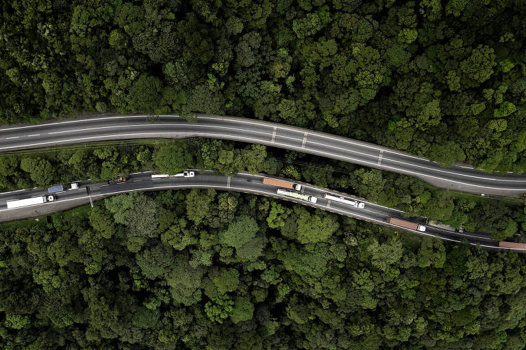 Imagem aérea de uma rodovia sinuosa que atravessa uma densa floresta. A estrada possui duas faixas de tráfego em cada direção, separadas por uma linha branca contínua. Há vários veículos trafegando em ambas as direções. A vegetação ao redor é predominantemente verde e densa, com árvores altas.