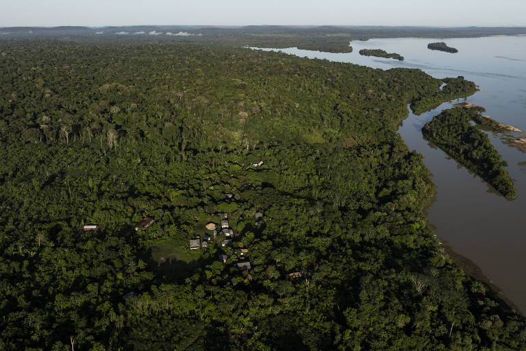Vista aérea da floresta amazônica, com árvores verdes e rio volumoso