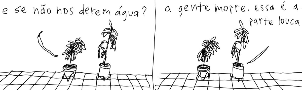 A tirinha em preto e branco de Estela May, publicada em 09/07/24, traz duas plantas uma do lado da outra. A da esquerda diz “e se não nos derem água?”, a da direita responde “a gente morre. essa é a parte louca”