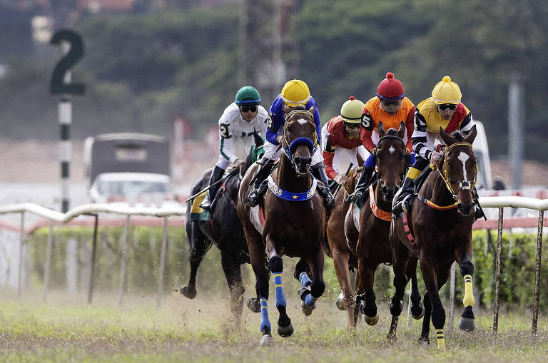 Jóqueis disputam segundo páreo do dia corrida de cavalos de 3.000 metros em pista de grama; a competição também ocorre em pista de areia