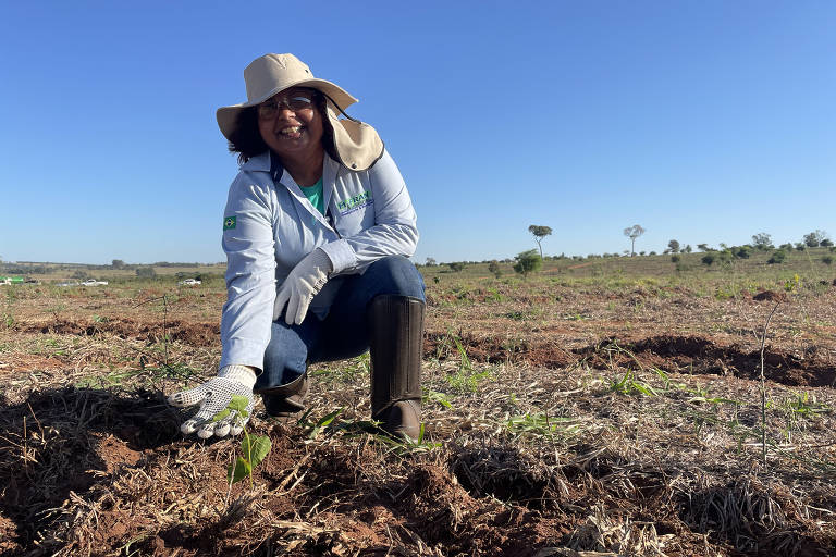A gestora ambiental Marta Aparecida da Silva, 52, que em uma empresa de plantio para restauração florestal de mata atlântica no Pontal do Paranapanema (SP)
