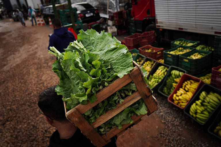 Enchentes no RS começam a afetar menos a inflação dos alimentos, dizem analistas