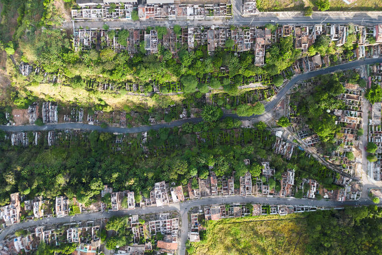 Imagem aérea de um bairro residencial, mostrando ruas sinuosas cercadas por áreas verdes. As casas estão dispostas em fileiras, com algumas áreas de vegetação densa entre elas. A luz do sol ilumina a cena, destacando a combinação de construções e natureza
