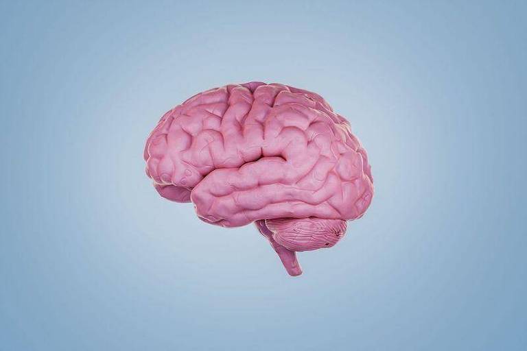 Como podemos retardar o envelhecimento do nosso cérebro, segundo cientistas