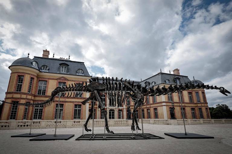 Esqueleto de maior dinossauro já posto à venda custa quase R$ 30 milhões