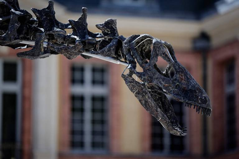 Esqueleto de apatossauro será leiloado na França