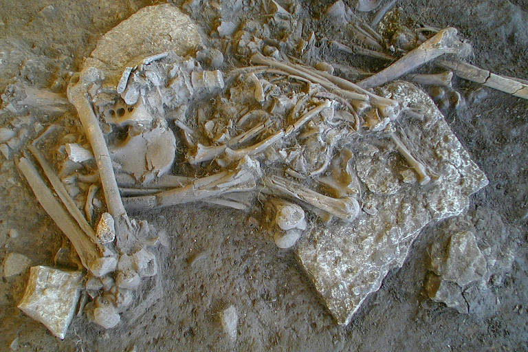 Um dos esqueletos completos encontrados no túmulo da passagem de Fraelsegarden, em Falbygden, Suécia



