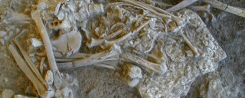 One of the complete skeletons found in the Fraelsegarden passage grave, in Falbygden, Sweden, is seen in this undated handout image obtained by Reuters on July 9, 2024. The skeleton is of a woman aged around 30-40 years old.  Karl-Goeran Sjoegren/Handout via REUTERS    THIS IMAGE HAS BEEN SUPPLIED BY A THIRD PARTY. NO RESALES. NO ARCHIVES. ORG XMIT: HO-01