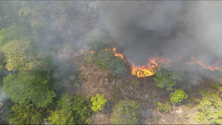 Incêndios florestais na região do Baixo Tapajós, no Pará, durante a seca severa de 2023