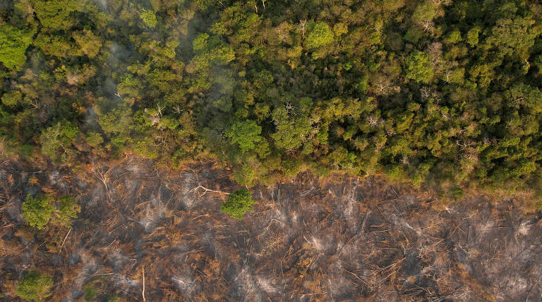 Imagem aérea mostrando uma área de floresta densa à direita e uma área desmatada à esquerda. A área desmatada apresenta árvores derrubadas e solo exposto, enquanto a floresta densa é composta por árvores verdes e vegetação espessa. Há sinais de fumaça na área desmatada, indicando possível queimada recente.